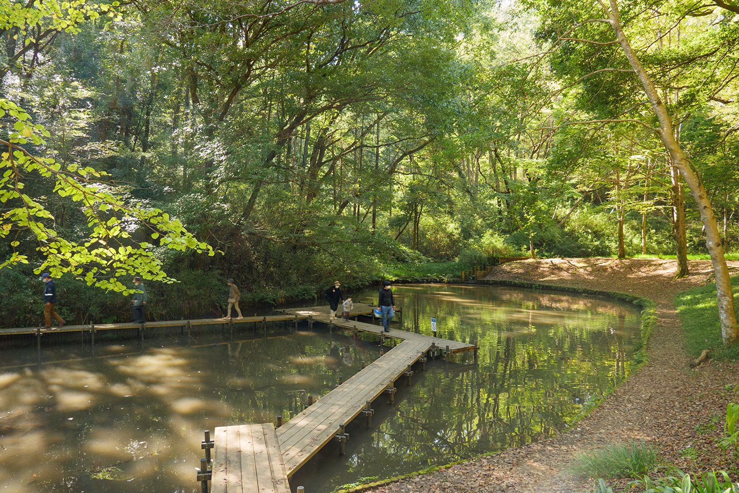 🌳 오야마다 녹지(오야마다료쿠치) 이미지 4